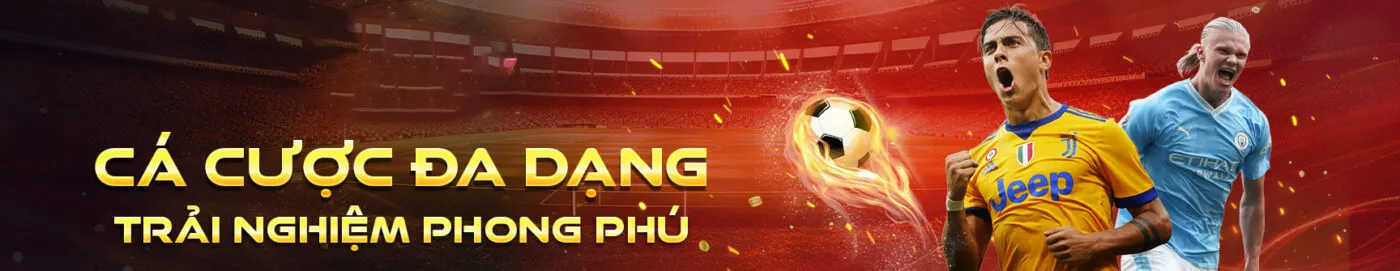 cược tại vinwin đa dạng